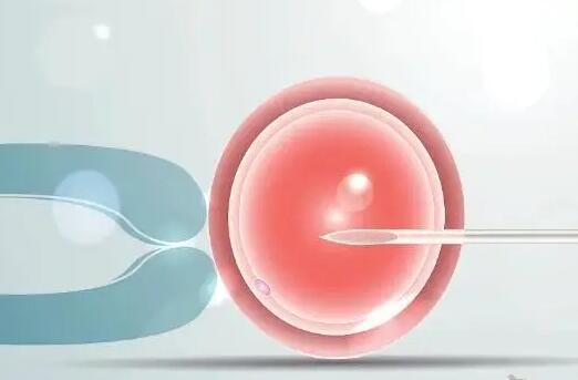 试管婴儿促排后卵泡黄素化还能做取卵手术吗