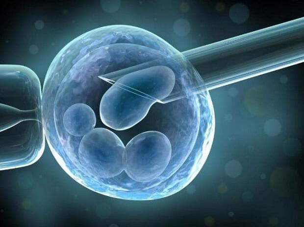 试管婴儿胚胎移植后注意事项及移植成功的6个症状可自行对照观察