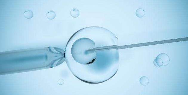 融合胚胎移植后成功率对然很高，但也要注意这三点问题