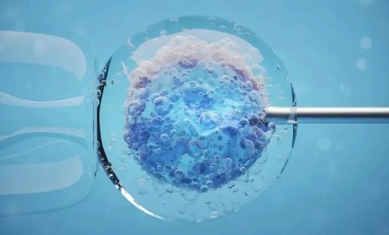 转氨酶高为何会导致囊胚移植的等待，原因和重要性分析