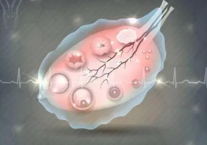 提高试管妊娠率，胚胎染色体筛查至关重要