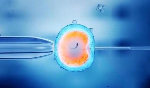 卵巢早衰做试管能保证胎儿正常发育专业技术可以提高成功率