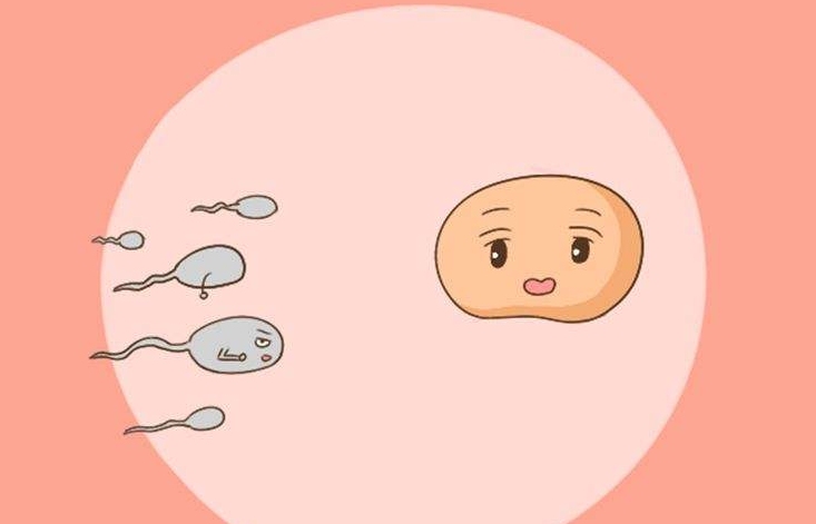肇庆三代试管婴儿也会出现胎停的情况附试管胎停的几率