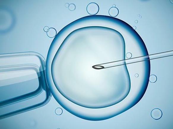 输卵管堵塞做试管能怀孕吗女性成功率多少