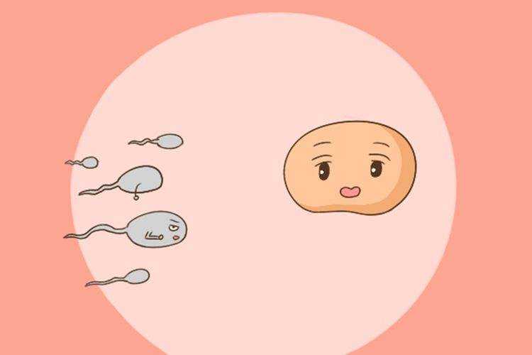 染色体缺失别再傻傻自怀，三代试管有效避免胎儿畸形
