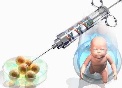 试管婴儿移植准备什么意思，试管婴儿取卵后多久可以移植胚胎